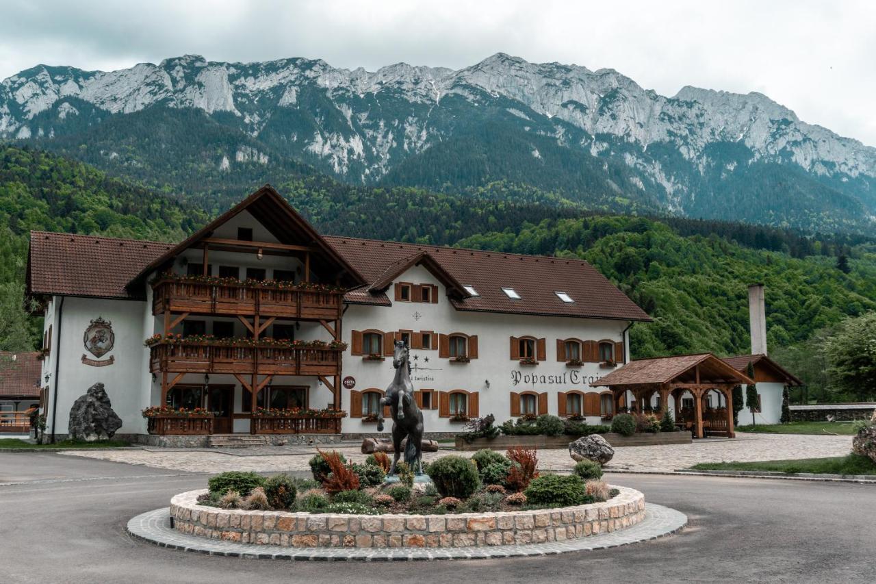 Villa Popasul Craiului à Zărneşti Extérieur photo
